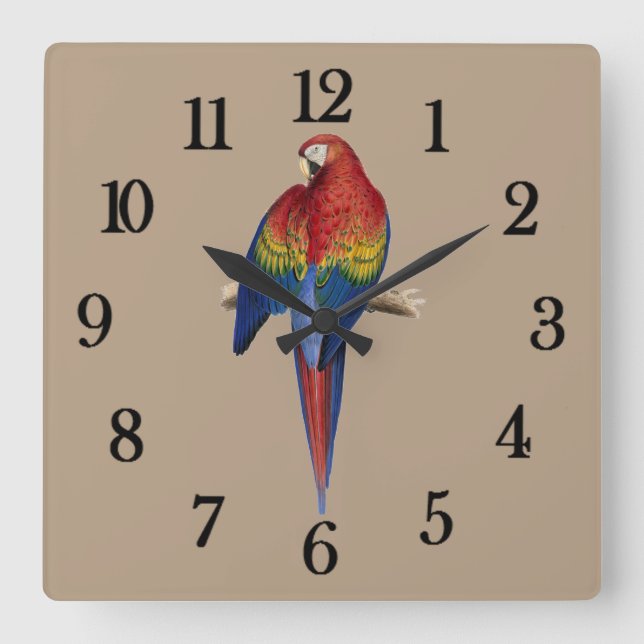 Tropical parrot square wall clock (Front)