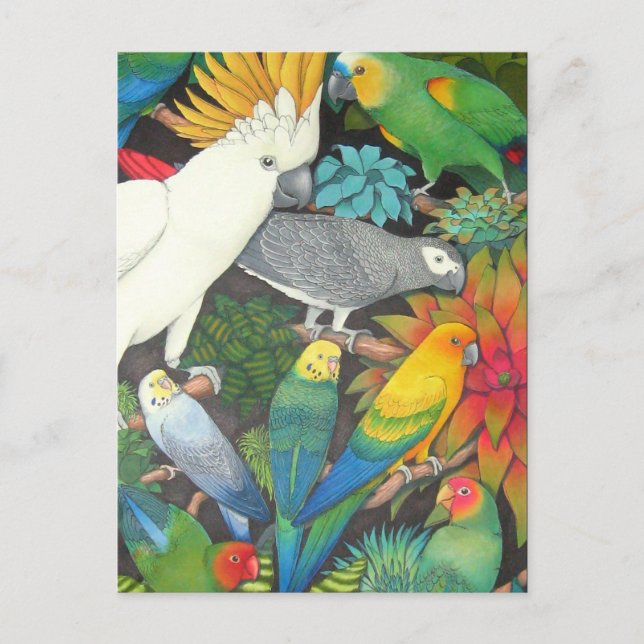 Tropical Parrots & Bromeliads Postcard (Front)