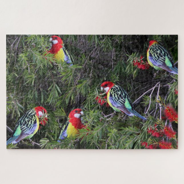 Tropical Parrots Eastern Rosella Birds Jigsaw Puzzle (Horizontal)
