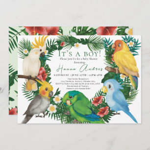 Tropical Parrots exotic birds Boy Baby Shower Invitation