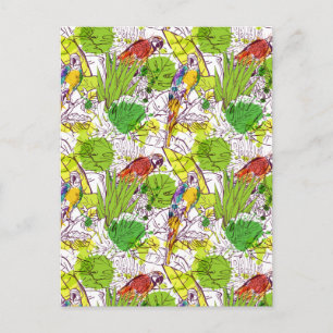 Tropical Parrots Postcard