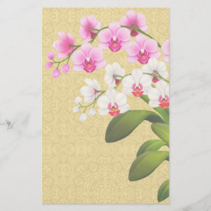 Tropical Phalaenopsis Orchid Flowers Stationery
