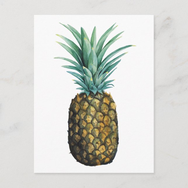 Tropical Pineapple Watercolor Postcard (Front)