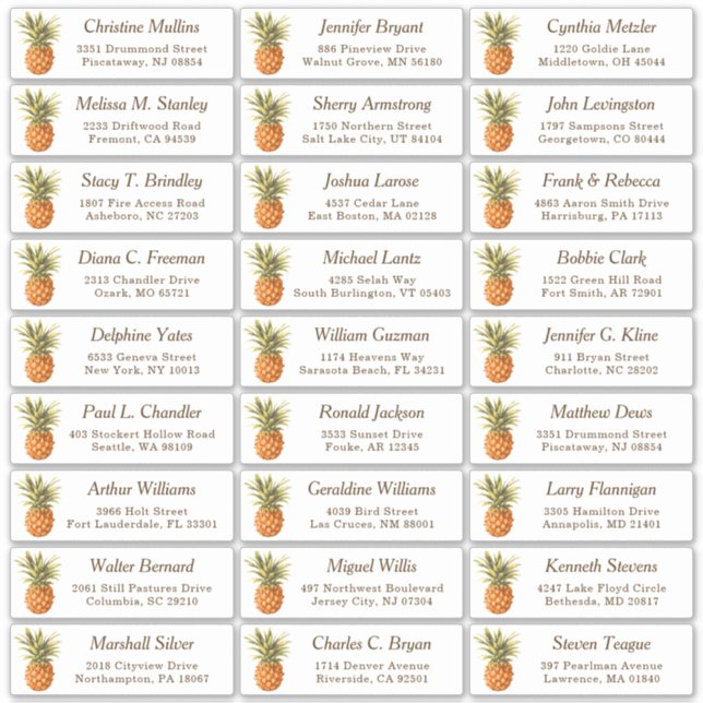 Tropical Pineapple Wedding Guest Address Label (Front)