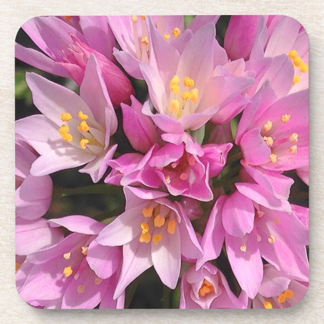 Tropical Pink and Yellow Flowers Coaster (Front)