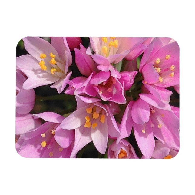Tropical Pink and Yellow Flowers Magnet (Horizontal)