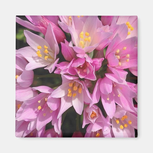 Tropical Pink and Yellow Flowers Magnet (Front)