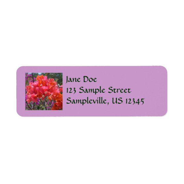 Tropical Pink Bougainvillea Island Floral (Front)