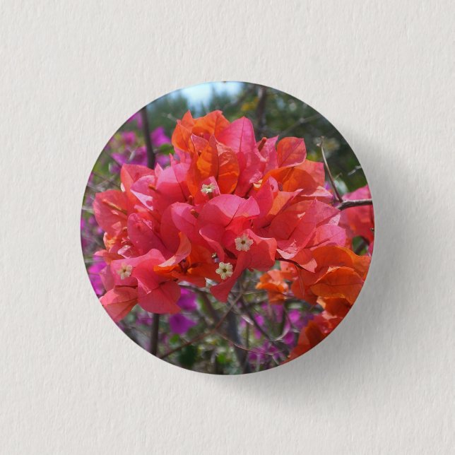Tropical Pink Bougainvillea Island Floral 3 Cm Round Badge (Front)