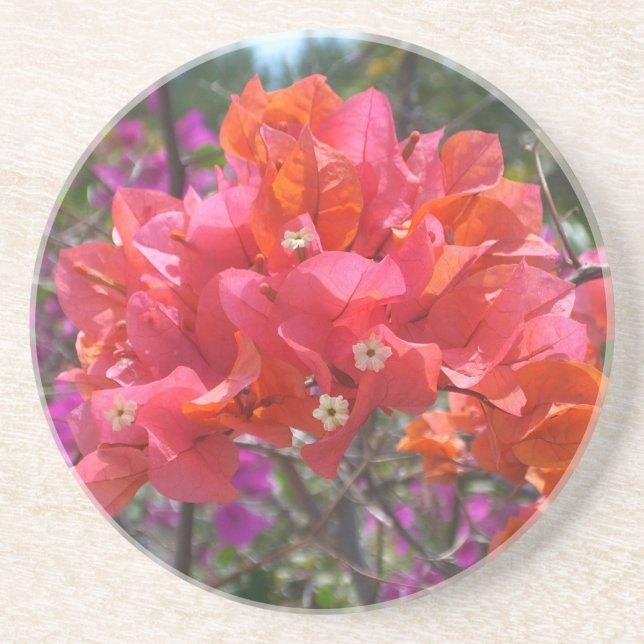 Tropical Pink Bougainvillea Island Floral Coaster (Front)