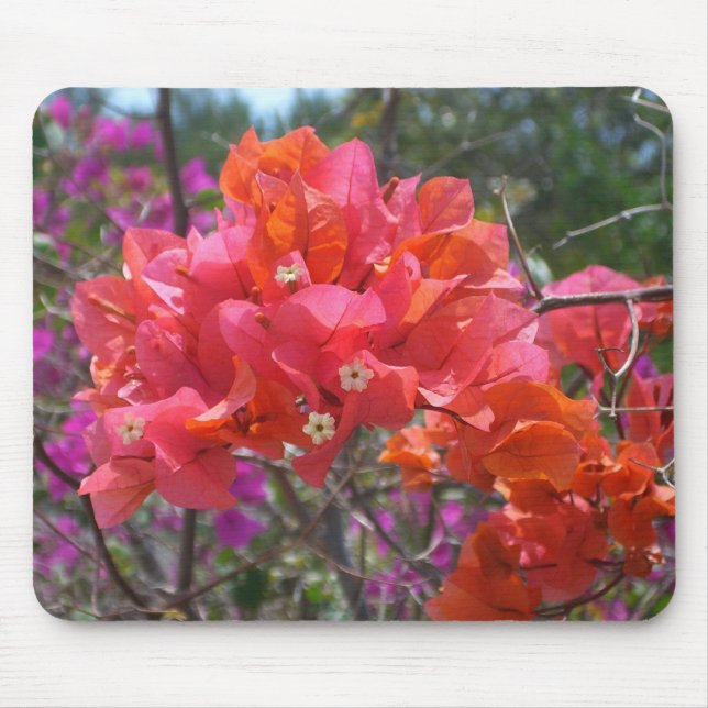 Tropical Pink Bougainvillea Island Floral Mouse Mat (Front)