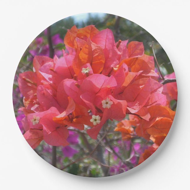 Tropical Pink Bougainvillea Island Floral Paper Plate (Front)