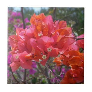 Tropical Pink Bougainvillea Island Floral Tile