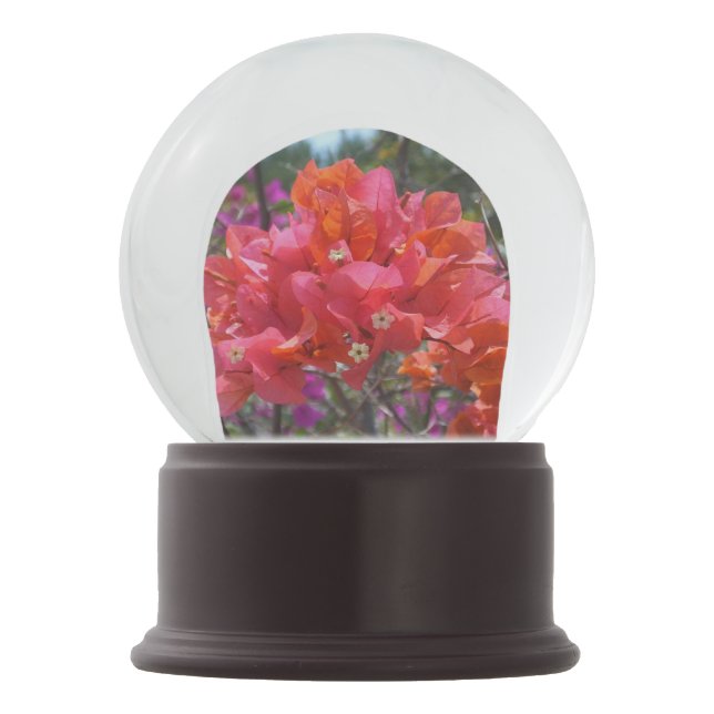 Tropical Pink Bougainvillea Snow Globe (Back)