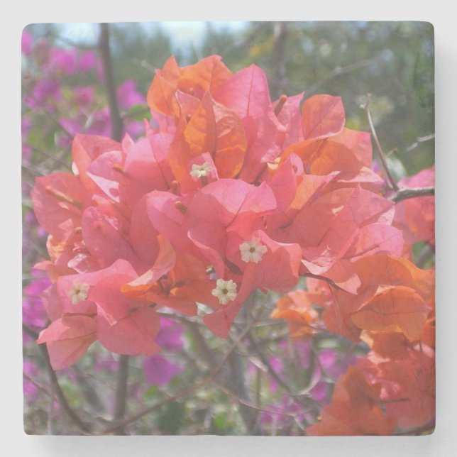 Tropical Pink Bougainvillea Stone Coaster (Front)
