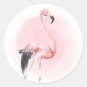 Tropical Pink Flamingo Classic Round Sticker
