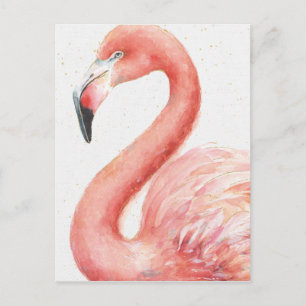 Tropical Pink Flamingo Postcard