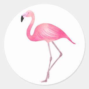 Tropical Pink Flamingo Wedding Bridal Shower Beach Classic Round Sticker