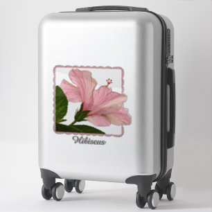 Tropical Pink Hibiscus Floral Photography   Name