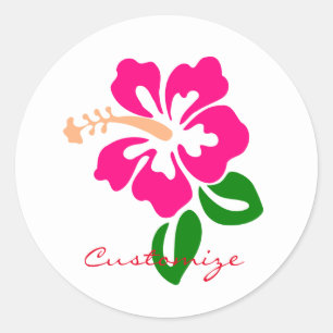 Tropical Pink Hibiscus Flower Thunder_Cove Classic Round Sticker