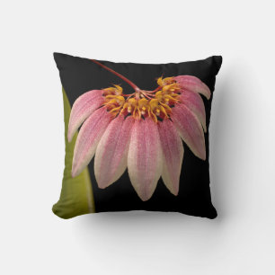 Tropical Pink Orchid Cushion