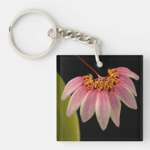 Tropical Pink Orchid Key Ring