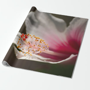 Tropical Pink & White Hawaiian Hibiscus Flower Wrapping Paper