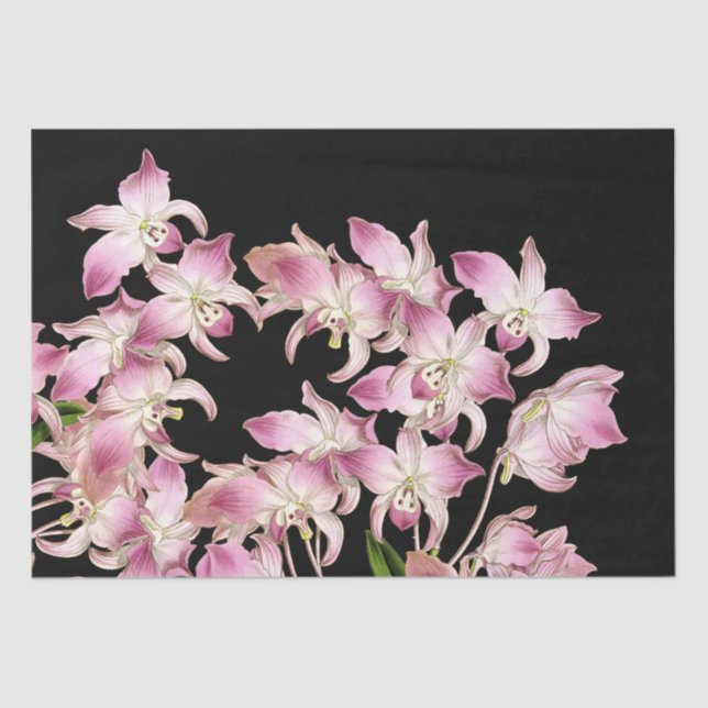 Tropical Pink White Orchid Flowers Tissue Paper (Front)