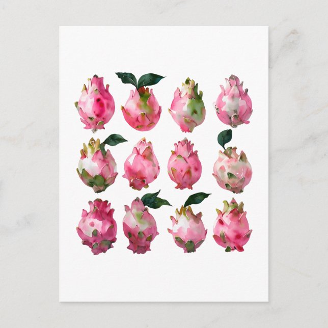 Tropical Pitaya Watercolor Art Postcard (Front)