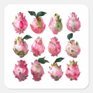 Tropical Pitaya Watercolor Art Square Sticker