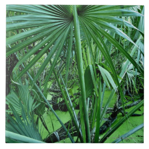 Tropical plants in salt pond tile