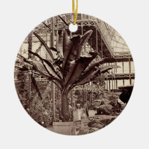 Tropical Plants in the Egyptian Room, Crystal Pala Ceramic Tree Decoration