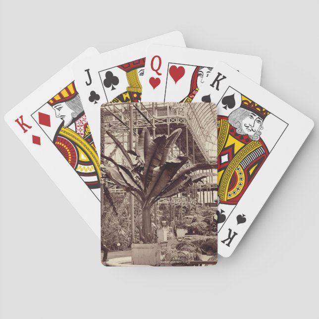 Tropical Plants in the Egyptian Room, Crystal Pala Playing Cards (Back)