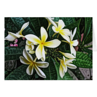 Tropical Plumeria Card