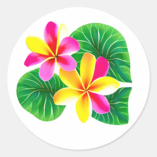 Tropical Plumeria Flowers Classic Round Sticker
