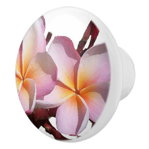 Tropical Plumeria Flowers Floral Knob