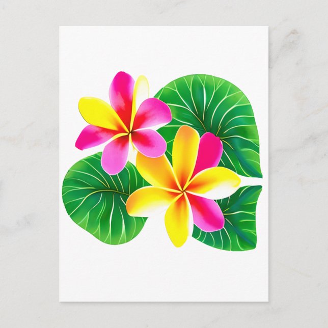 Tropical Plumeria Flowers Postcard (Front)