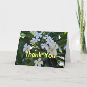 Tropical Plumeria Flowers Thank You Card
