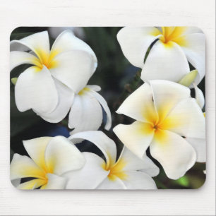 Tropical Plumeria Frangipani Flower Mouse Mat