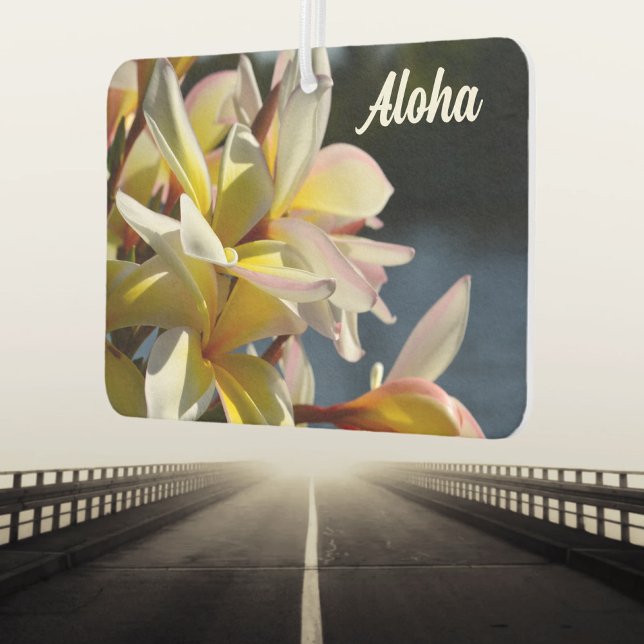 Tropical Plumeria Frangipani Flowers Floral Aloha Car Air Freshener (Creator Uploaded)
