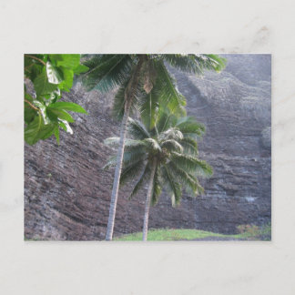 Tropical Postcard