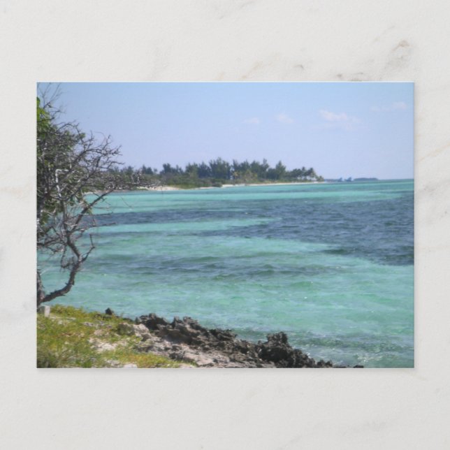 Tropical Postcard (Front)