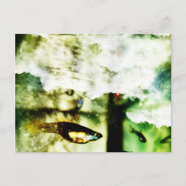 Tropical Postcard (Front)