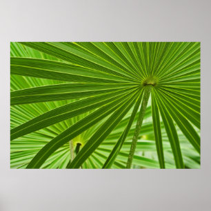 Tropical Poster