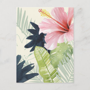 Tropical Punch Collection Postcard