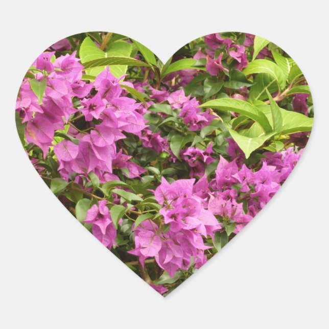 Tropical Purple Bougainvillea Floral Heart Sticker (Front)