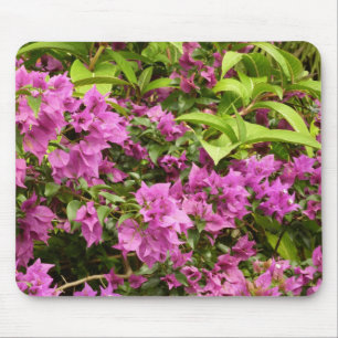 Tropical Purple Bougainvillea Floral Mouse Mat