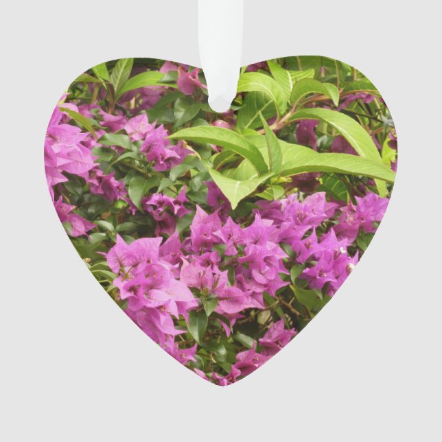 Tropical Purple Bougainvillea Floral Ornament (Front)