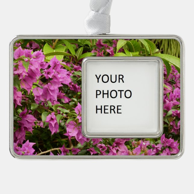 Tropical Purple Bougainvillea Floral Silver Plated Framed Ornament (Front)