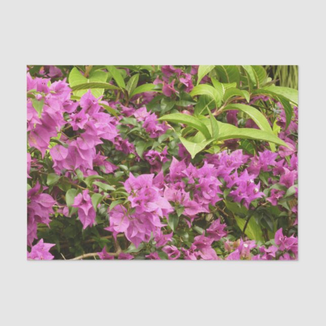Tropical Purple Bougainvillea Floral Tissue Paper (Front)